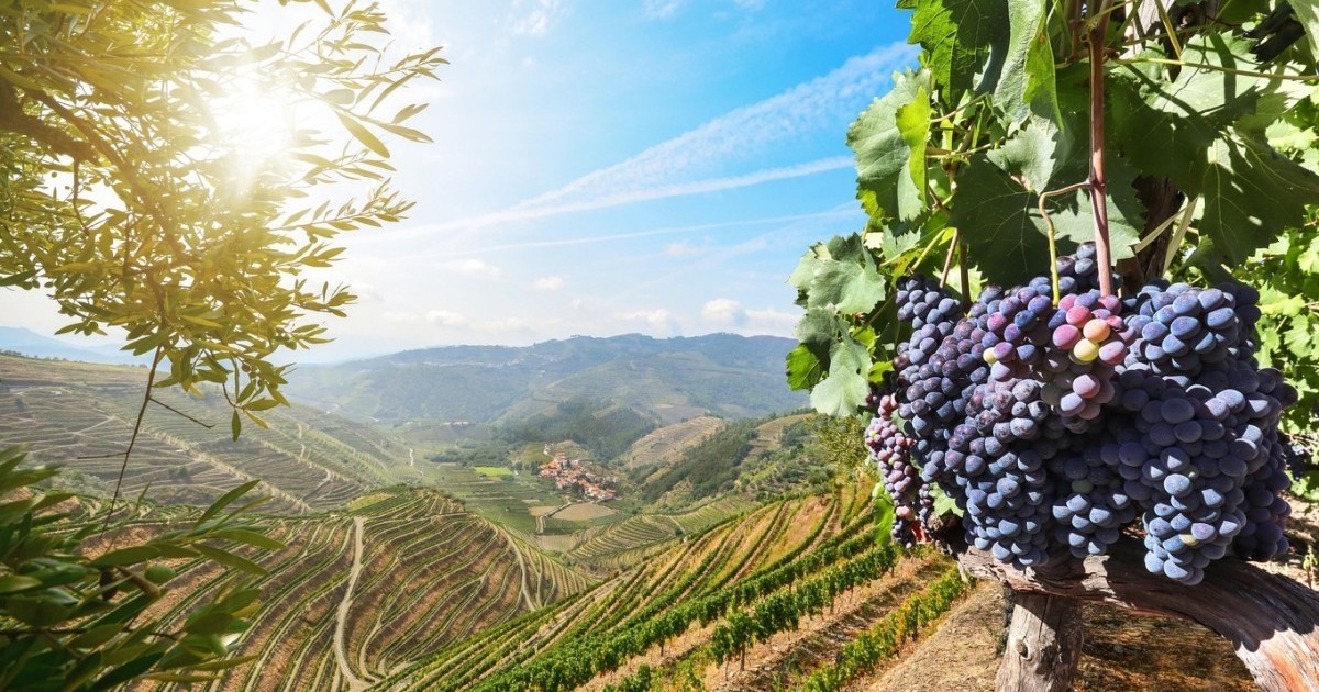 Visit Portugal expands travel trade outreach in Canada